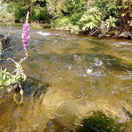 شقة River House Buna موستار المظهر الخارجي الصورة