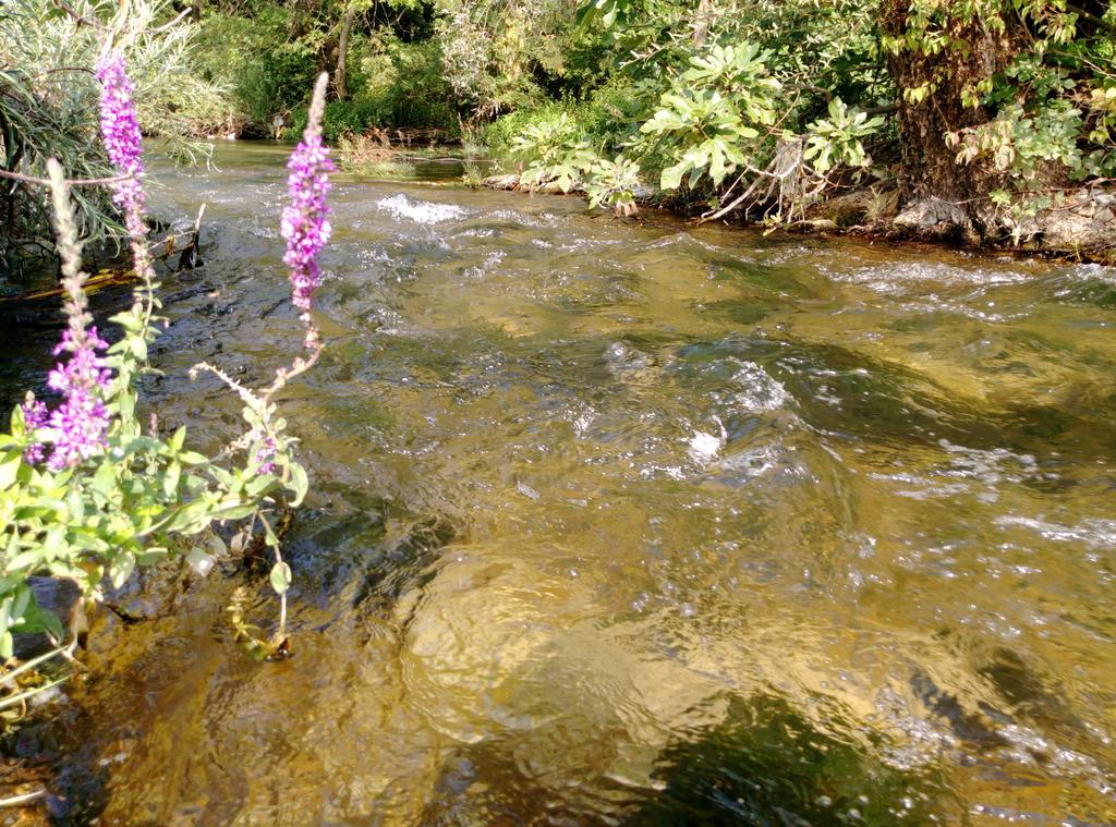 شقة River House Buna موستار المظهر الخارجي الصورة